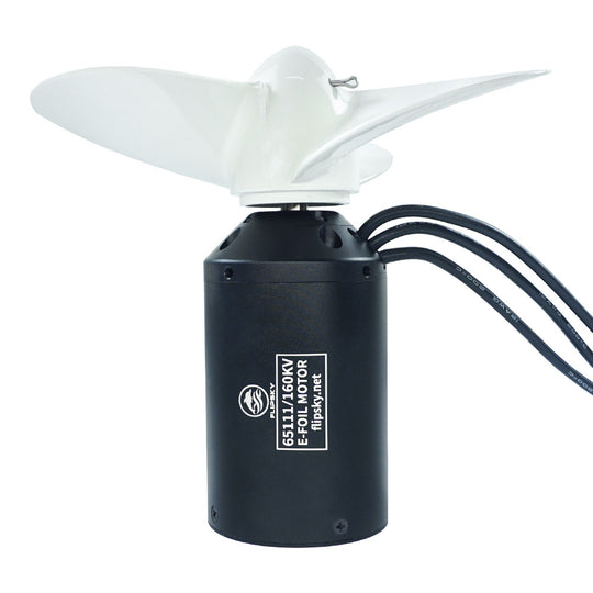 Flipsky Inrunner Brushless DC 65111 Motor 160KV 3000W for Surfing Boat Underwater Thruster |Hydro | Efoil - FLIPSKY