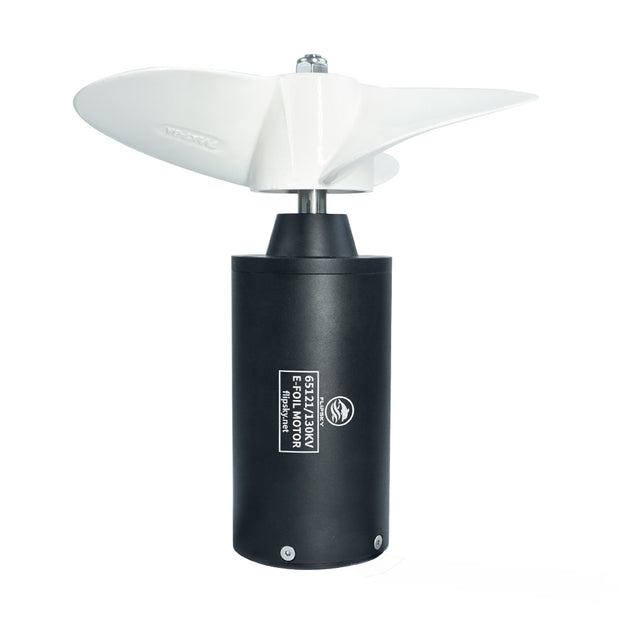 Flipsky Inrunner Brushless DC 65121 Motor 130KV 3700W for Surfing Boat Underwater Thruster |Hydro | Efoil